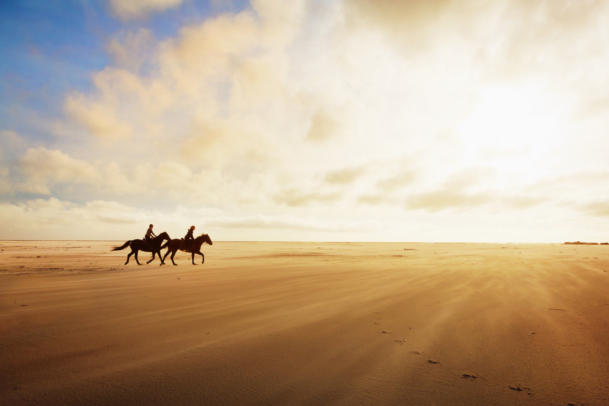 Horseriders cantering across Woolacombe sands on a golden late afternoon