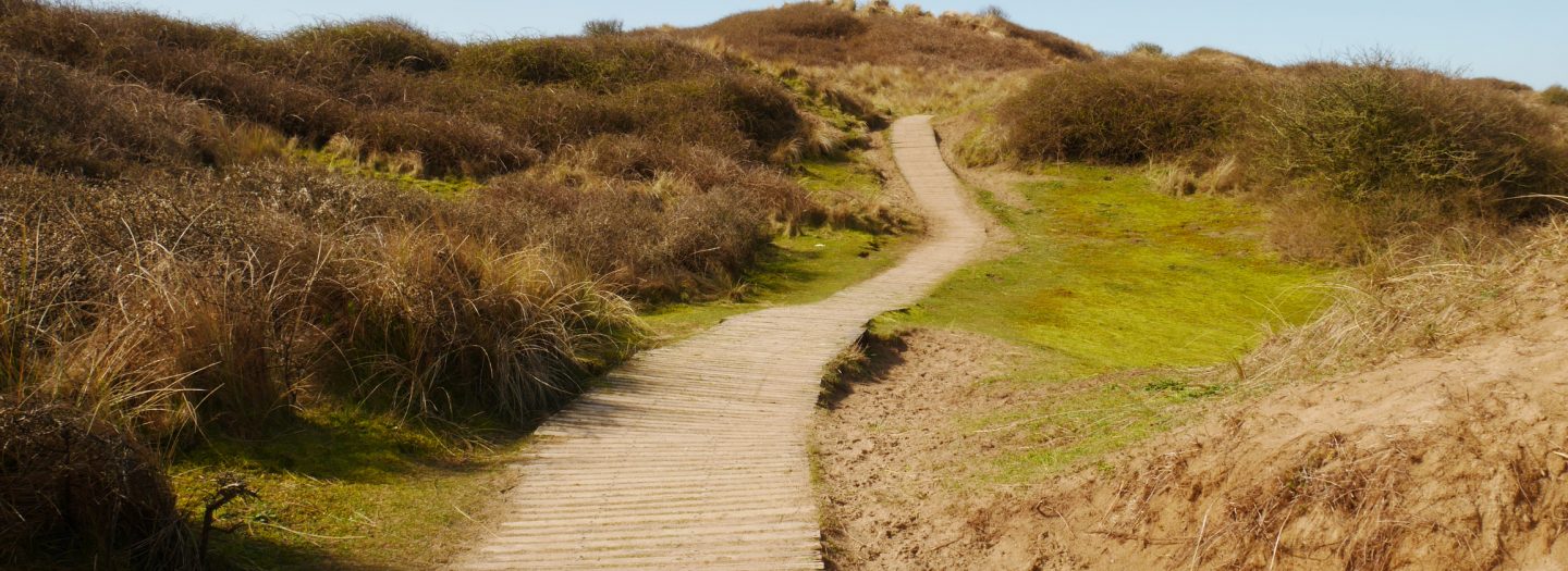 Braunton burrows