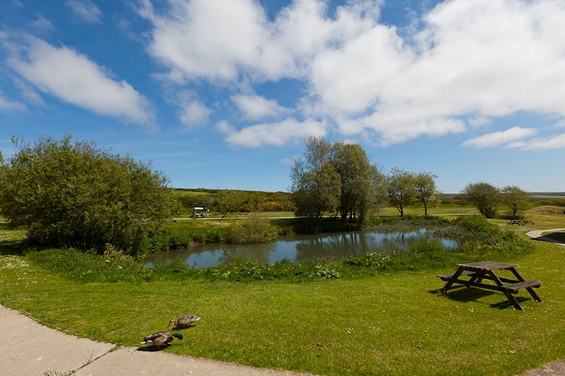 Willingcott Valley Fishing Lake