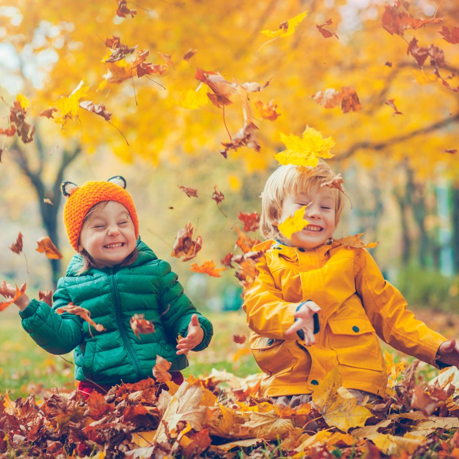 Two young children playing with fallen leaves whilst on Autumn Break in Devon